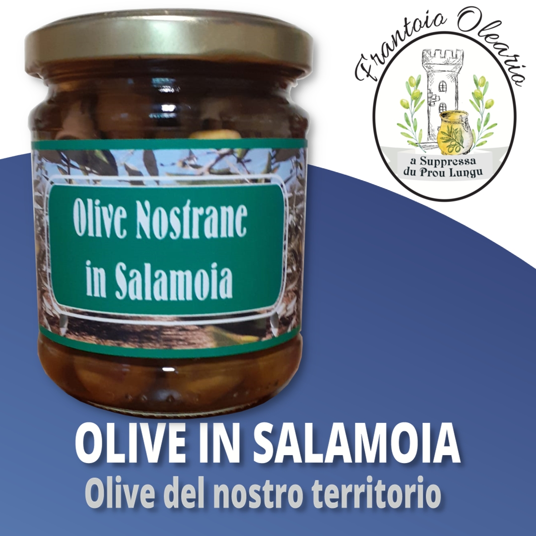 OLIVE NOSTRANE IN SALAMOIA